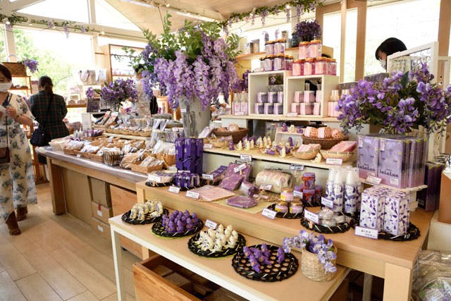 紫色文具購入報告 24 20年10月