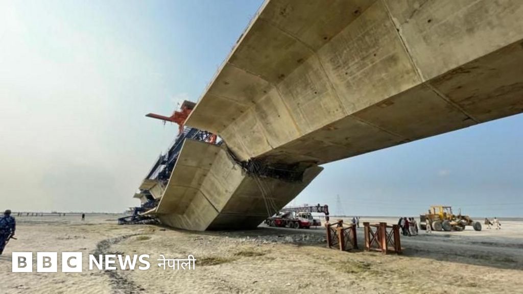 インド・メガラヤ州チェラプンジェ・ノングリアト村近くの生きた根の橋。この橋は長い年月をかけて木の根を鍛えて編んでできている。写真素材789348316Shutterstock