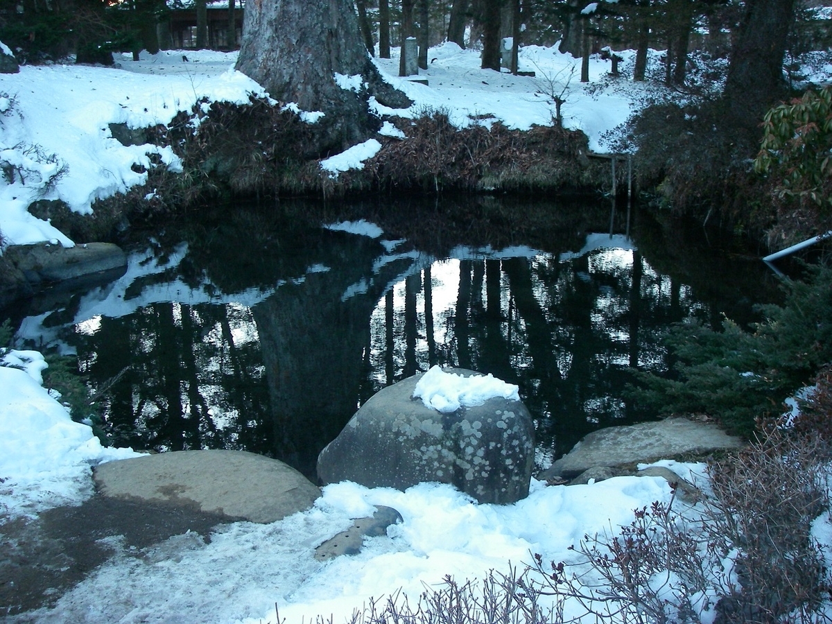 忍野八海見どころ紹介 有料 底抜池の透明度がヤバい!清里高原子連れ旅ブログレポyunko blog