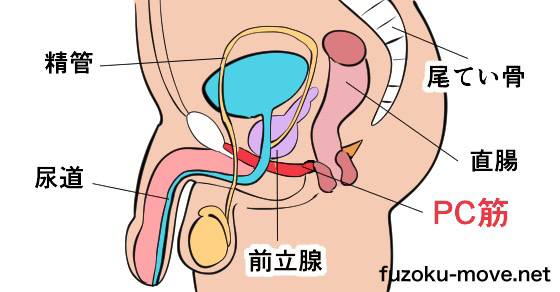 ズボラ女子必見】手を使わずに快楽に身を任せる…ノーハンドオナニー - 快感スタイル