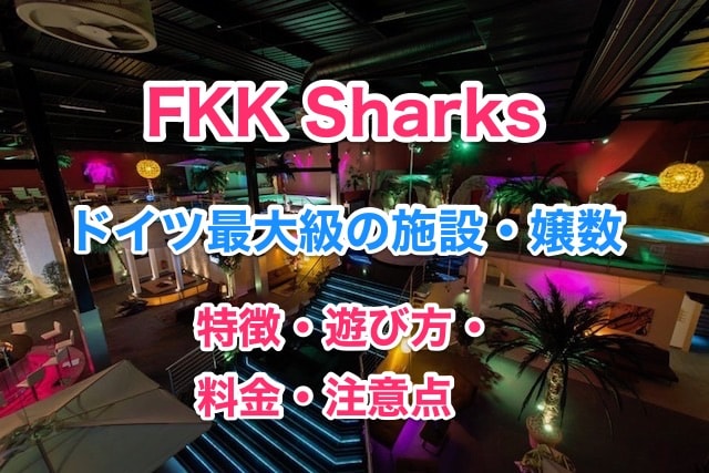 はじめてのFKK体験記】4日目：FKK MAINHATTANに2日連続入店！リベンジFUCKでチンチンJunction！ |