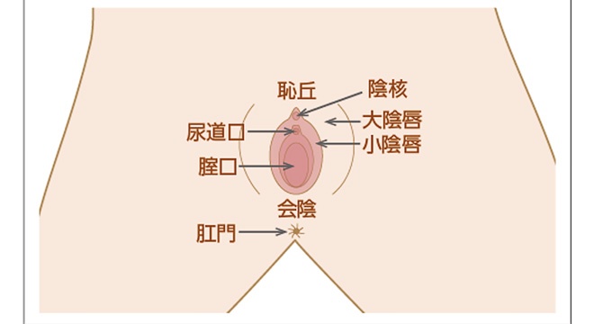 ☆竹内花☆切り抜き6P Gカップ 女子大生 FLASH フラッシュ